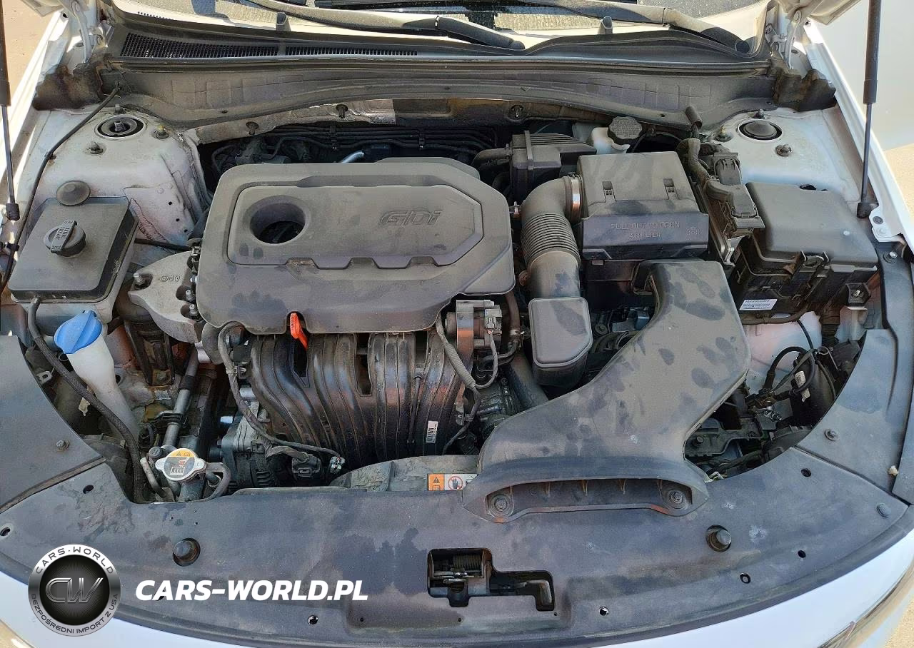 2019 Kia Optima S VIN:5XXGT4L3XKG291630 - 11