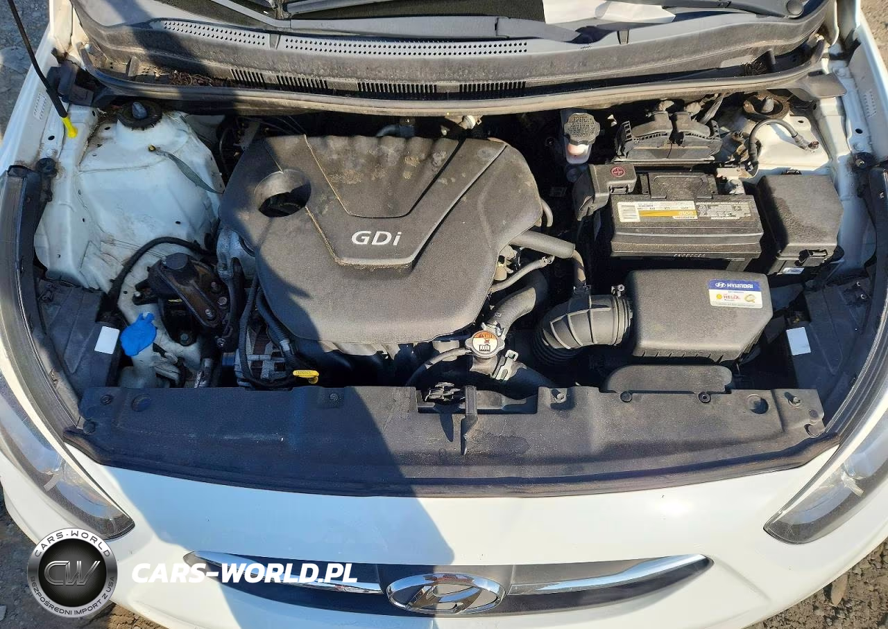 2016 Hyundai Accent Se VIN:KMHCT4AE8GU971221 - 11