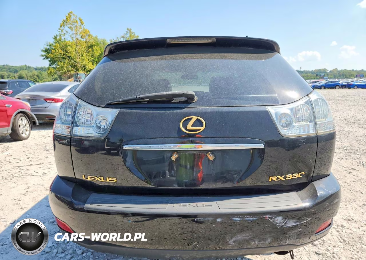 2004 Lexus Rx 330 VIN:2T2HA31U04C015124 - 6
