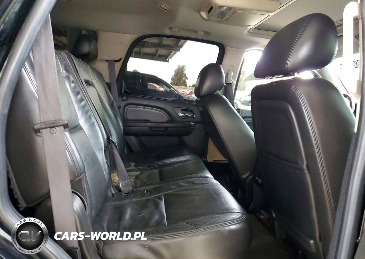 2010 Cadillac Escalade Premium VIN:1GYUCCEF9AR163454 - 10