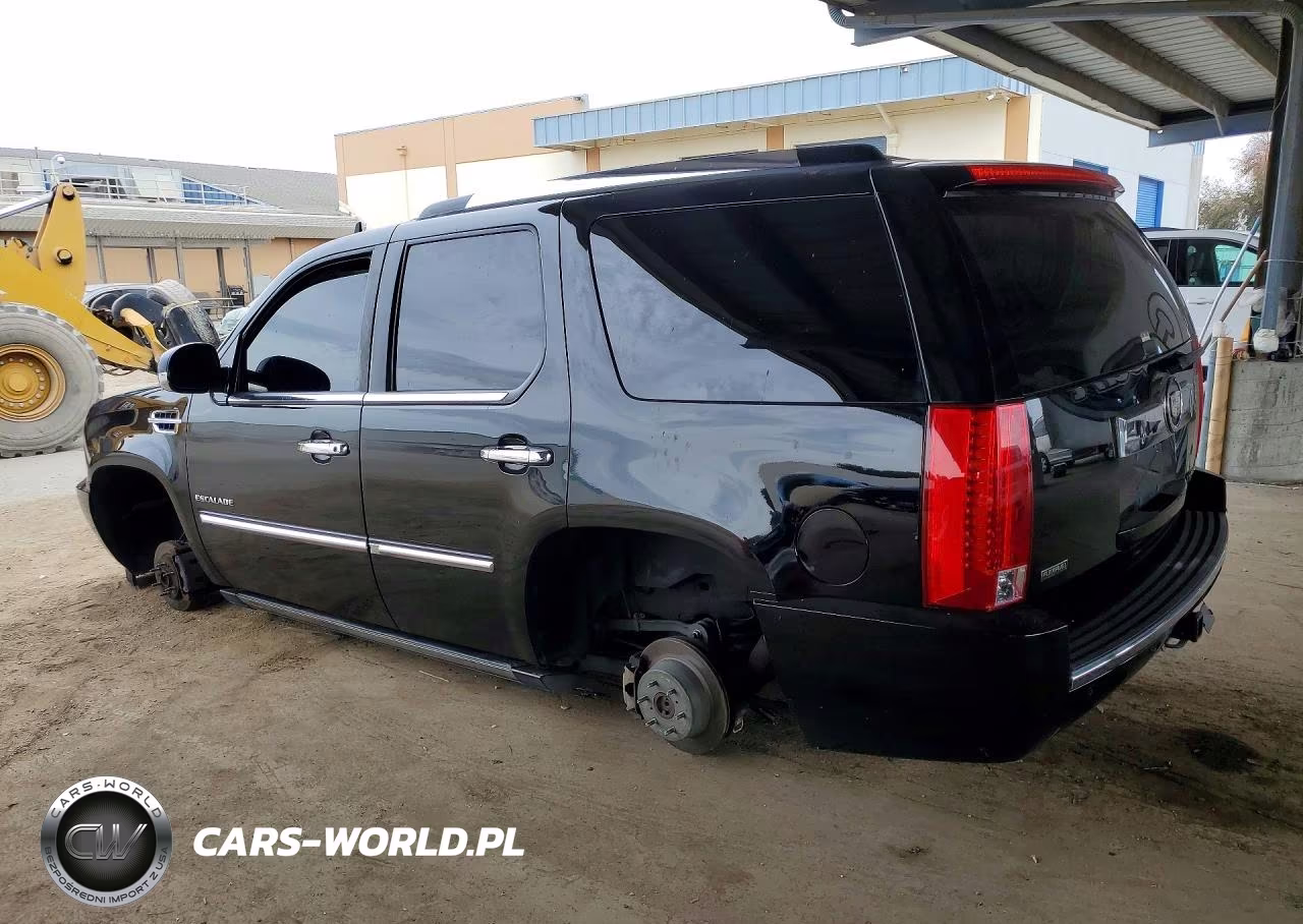 2010 Cadillac Escalade Premium VIN:1GYUCCEF9AR163454 - 2