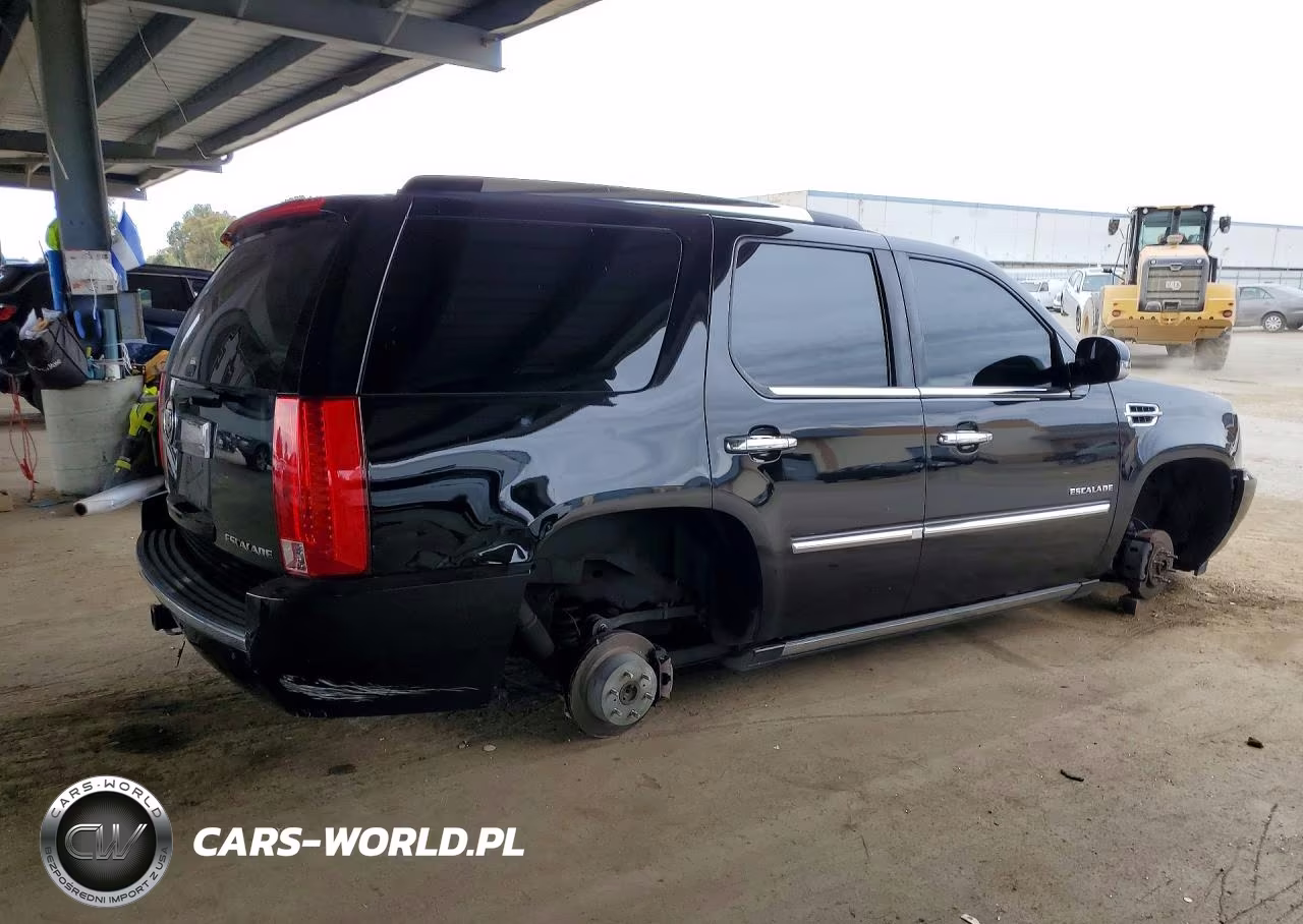2010 Cadillac Escalade Premium VIN:1GYUCCEF9AR163454 - 3