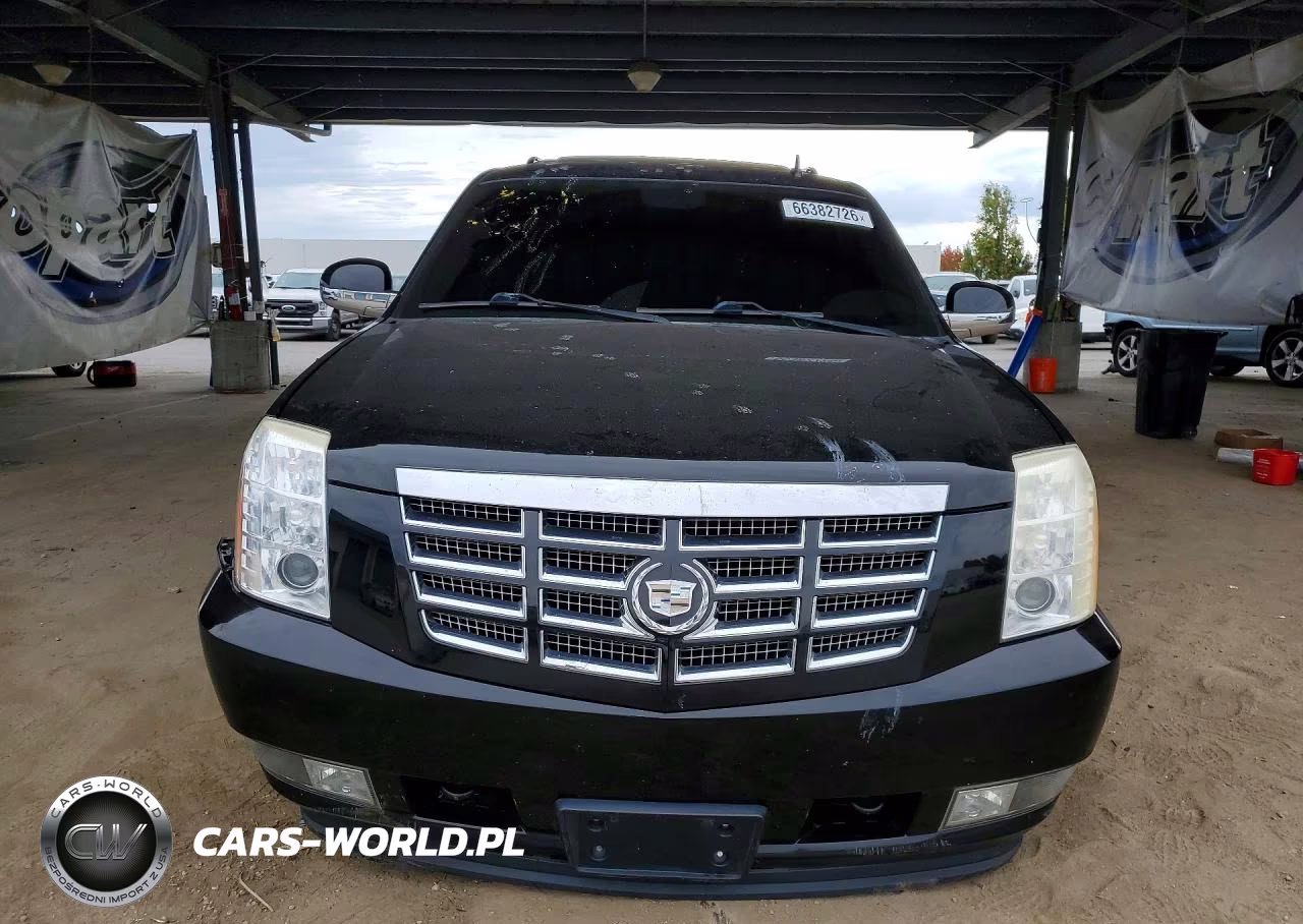 2010 Cadillac Escalade Premium VIN:1GYUCCEF9AR163454 - 5