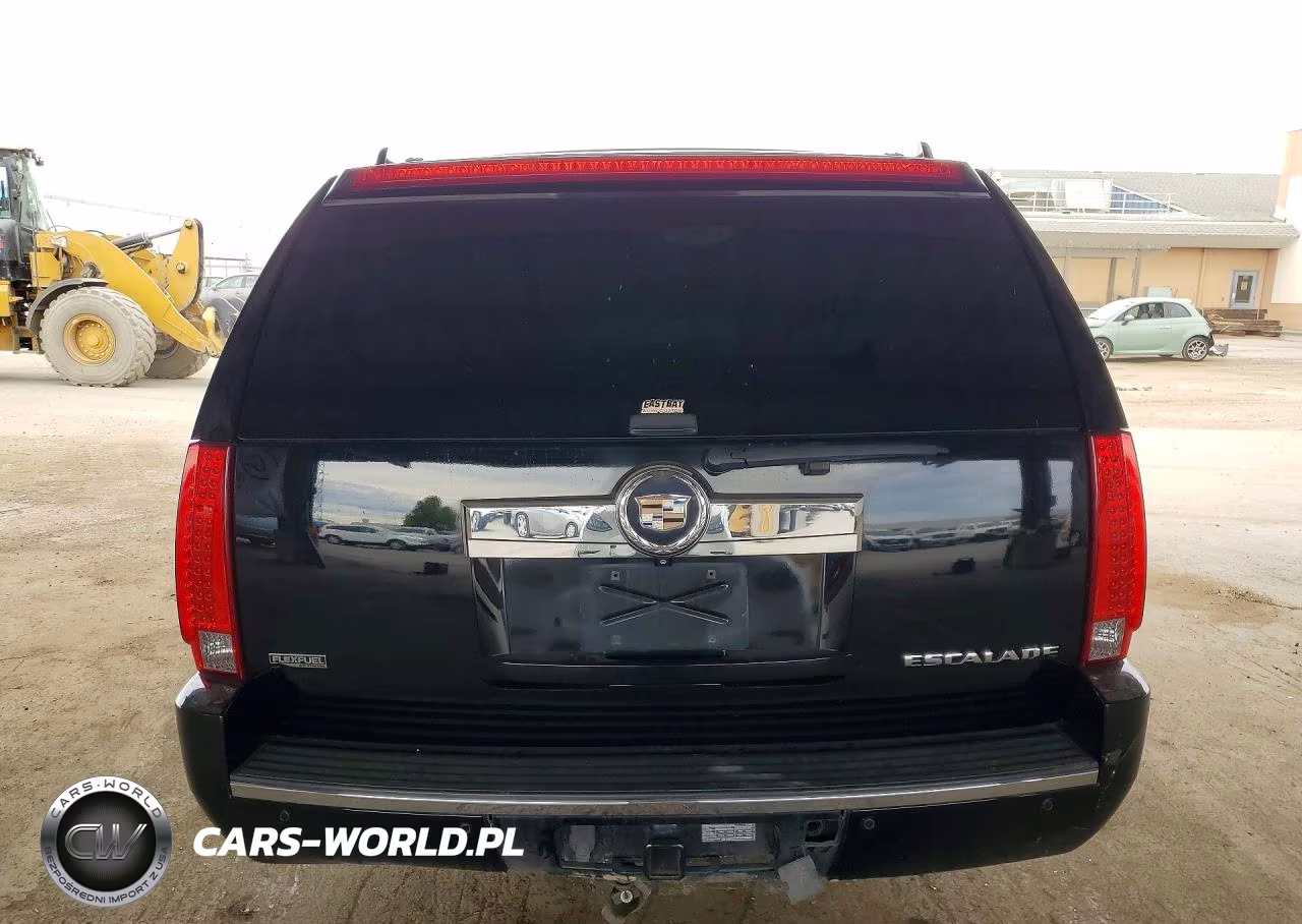 2010 Cadillac Escalade Premium VIN:1GYUCCEF9AR163454 - 6