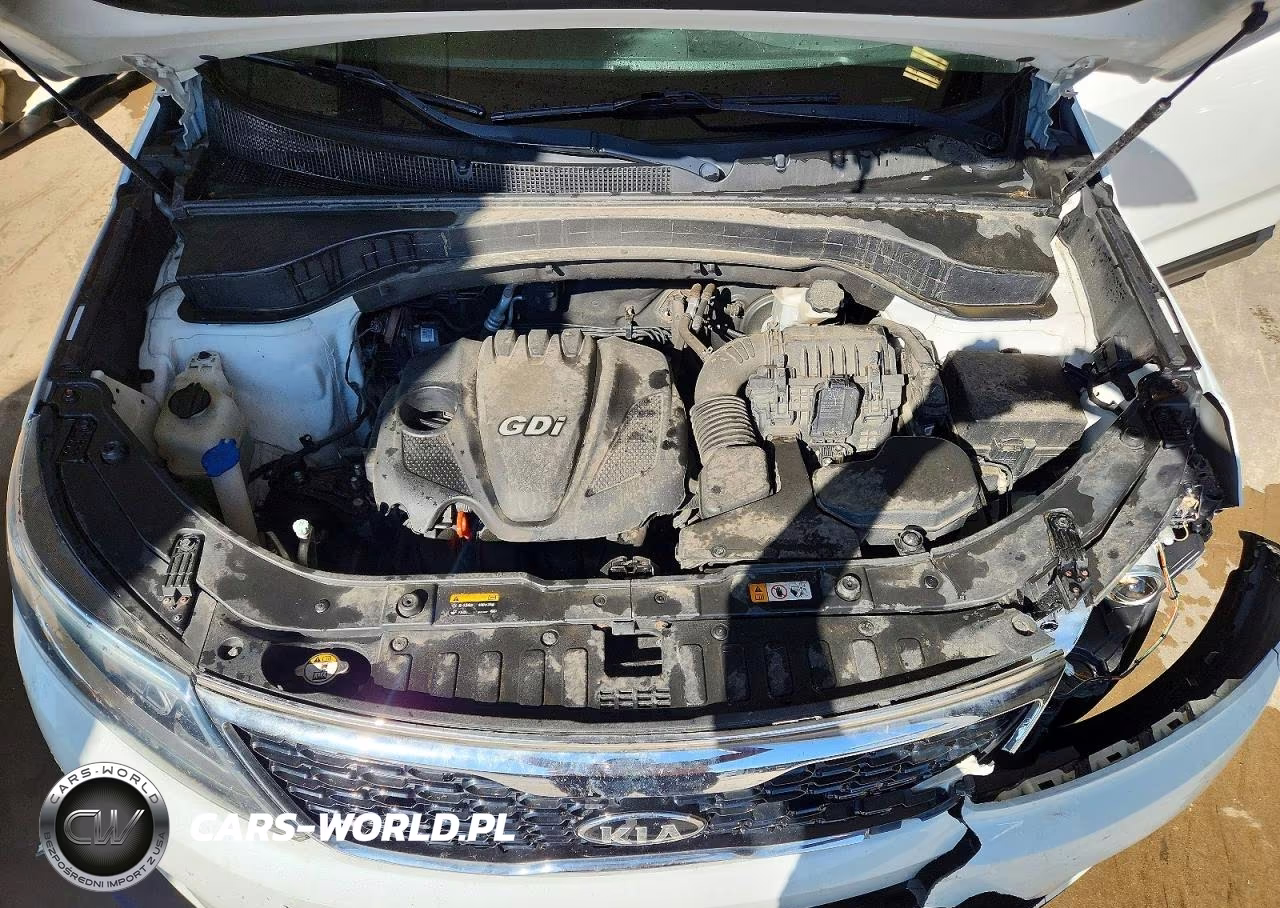2015 Kia Sorento Lx VIN:5XYKT3A62FG562652 - 12
