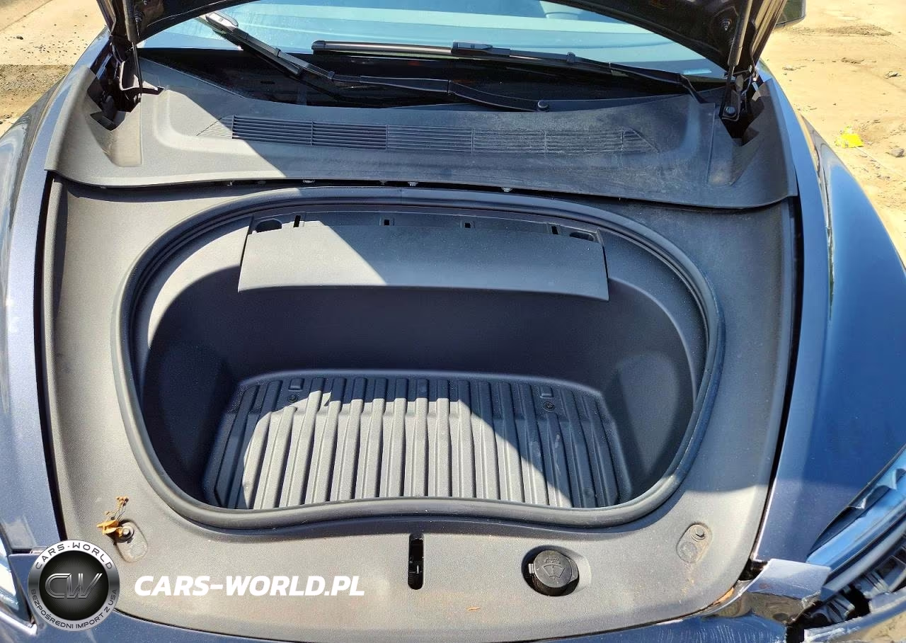 2024 Tesla Model 3 VIN:5YJ3E1EA9RF769469 - 11