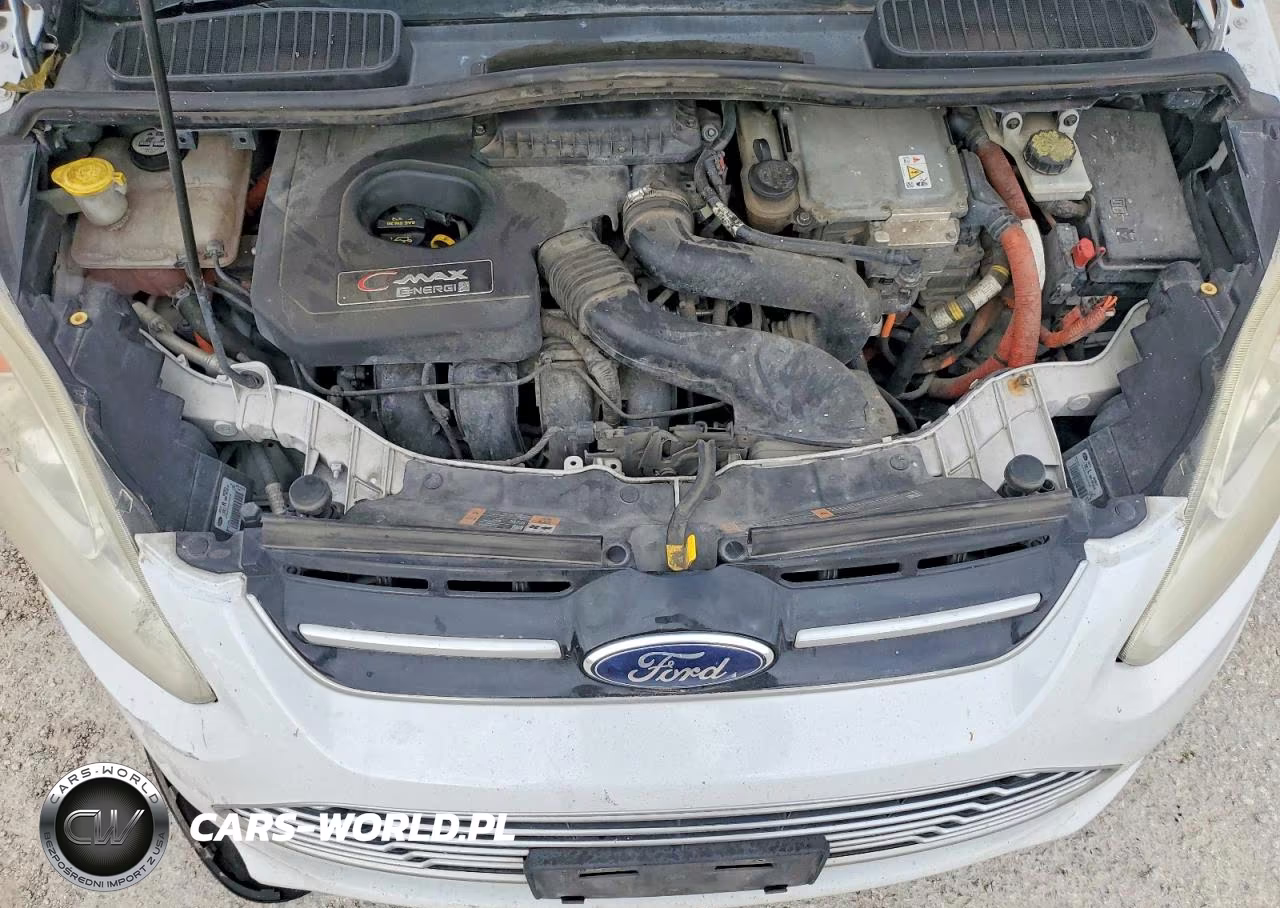 2013 Ford C-Max Premium VIN:1FADP5CU9DL521866 - 11