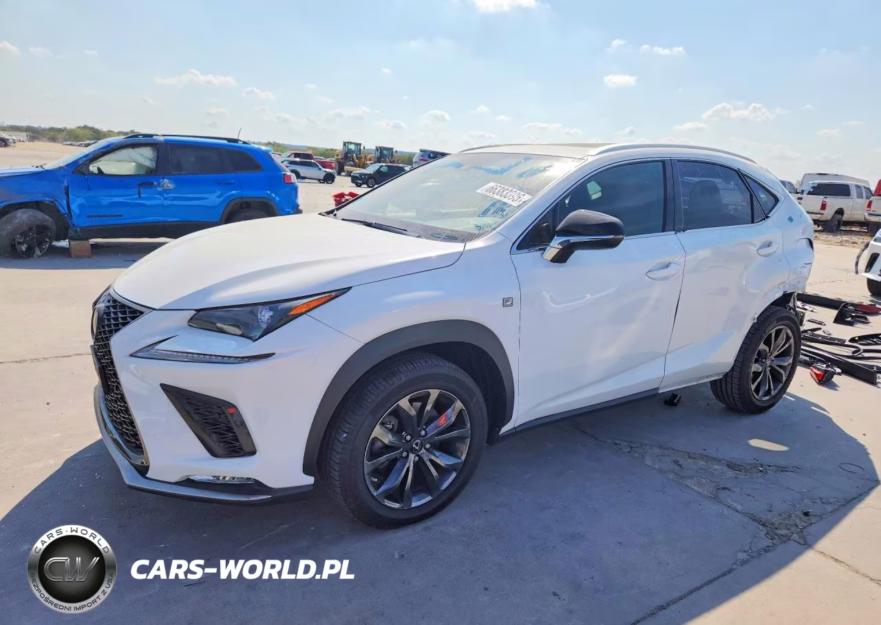 2021 Lexus Nx 300 F Sport VIN:JTJSARBZ9M5032053 - 1