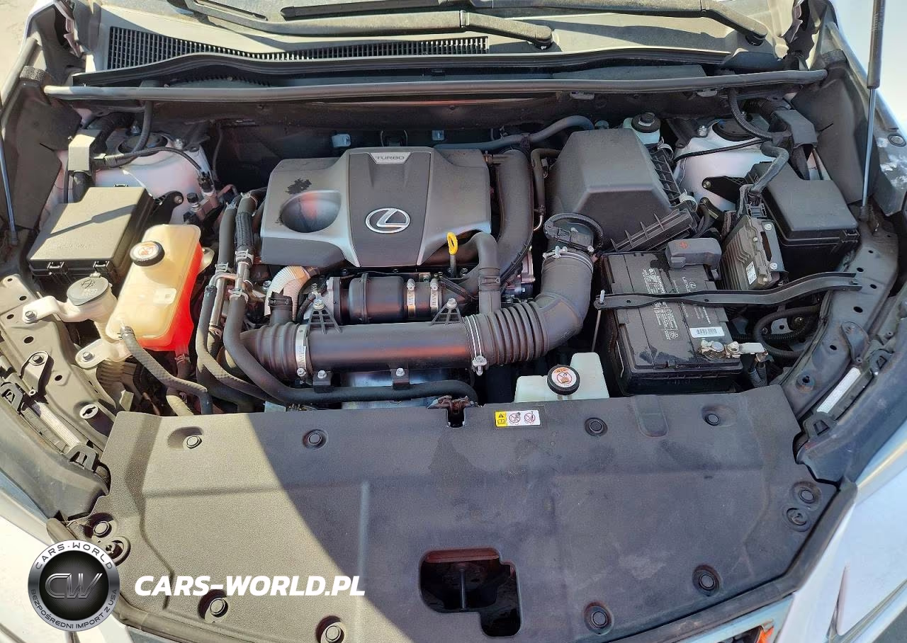 2021 Lexus Nx 300 F Sport VIN:JTJSARBZ9M5032053 - 11