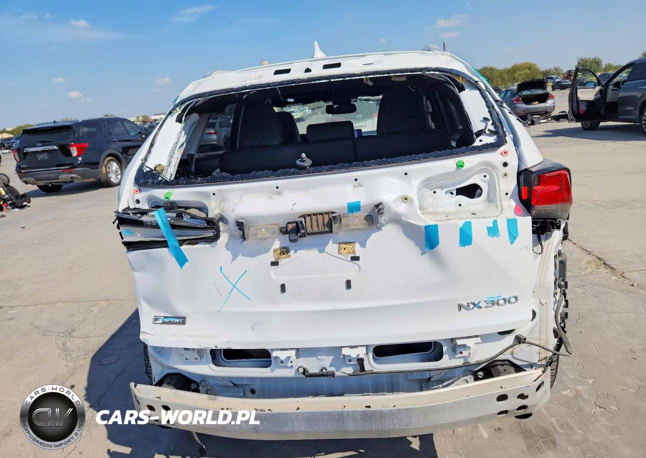 2021 Lexus Nx 300 F Sport VIN:JTJSARBZ9M5032053 - 6