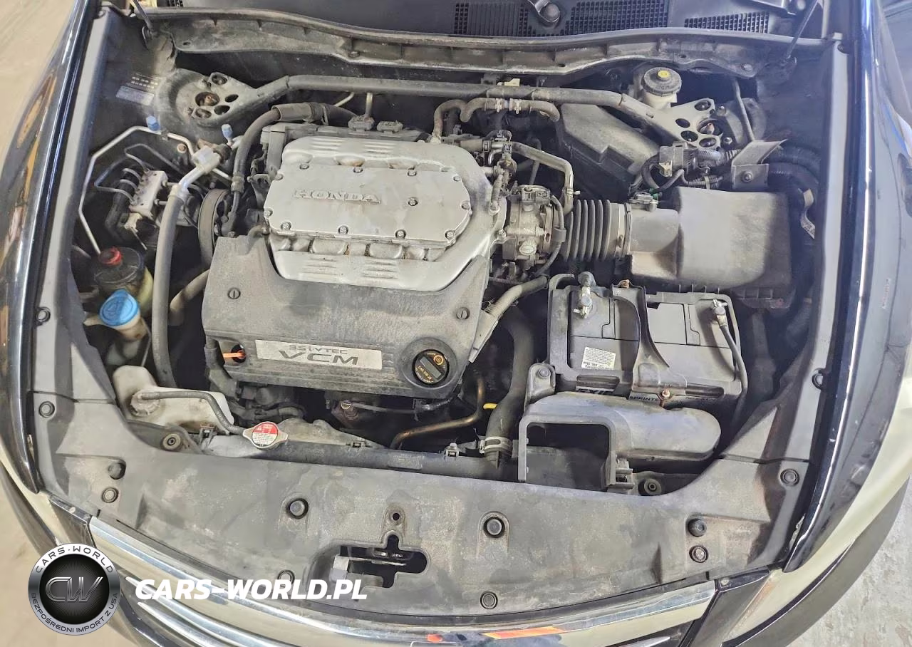 2011 Honda Accord Exl VIN:1HGCP3F82BA001401 - 11