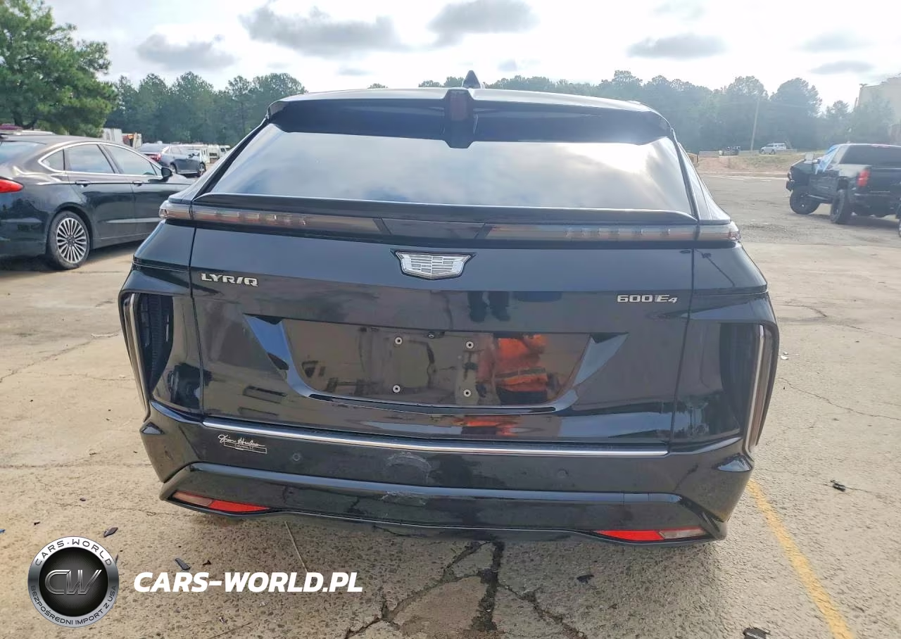2024 Cadillac Lyriq Luxury VIN:1GYKPPRL3RZ102972 - 6