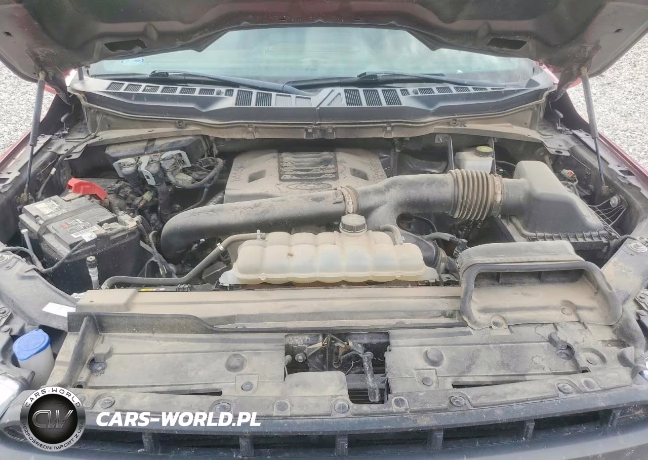 2022 Ford F150 Supercrew VIN:1FTFW1E82NKE71690 - 11