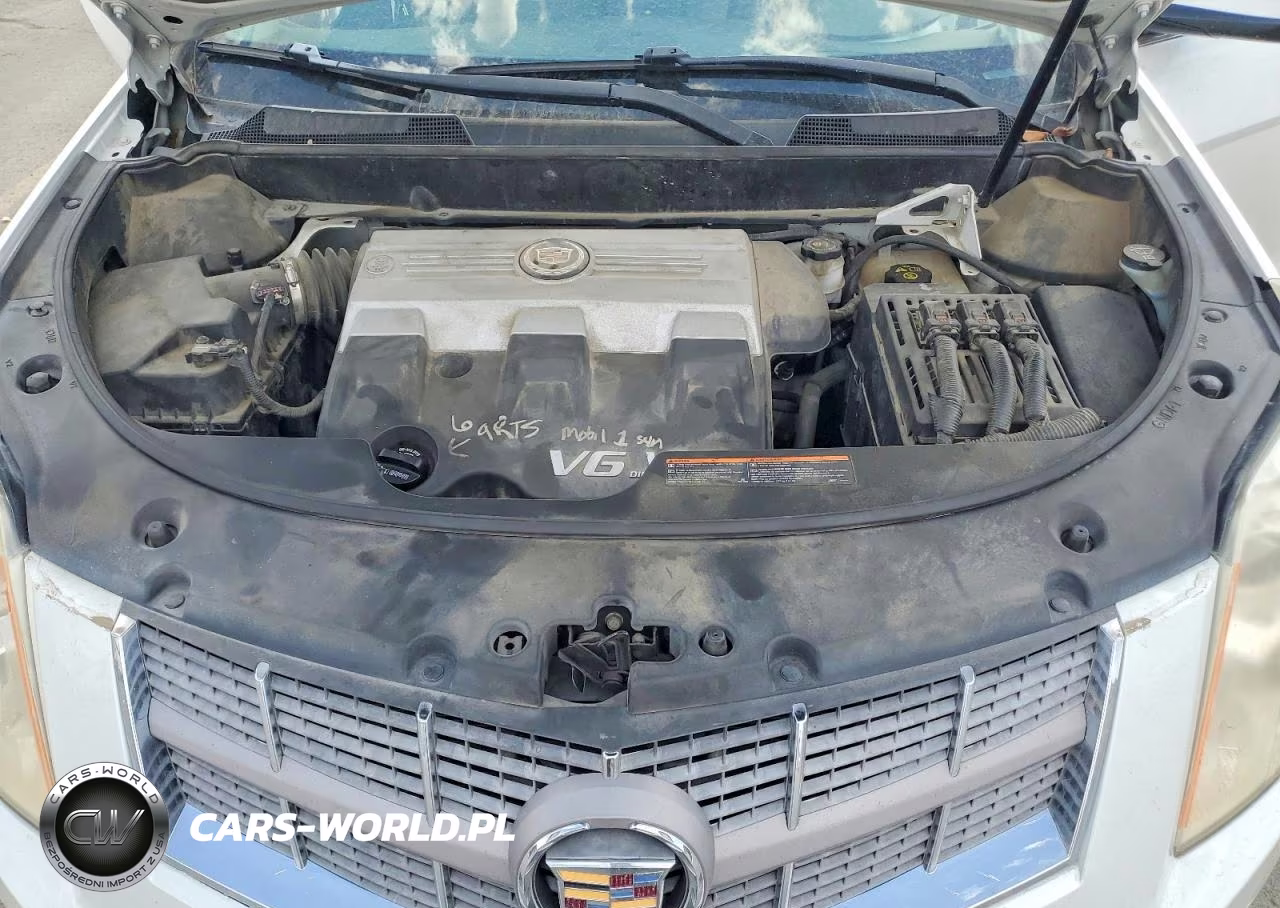 2010 Cadillac Srx Luxury Collection VIN:3GYFNDEY3AS633940 - 12