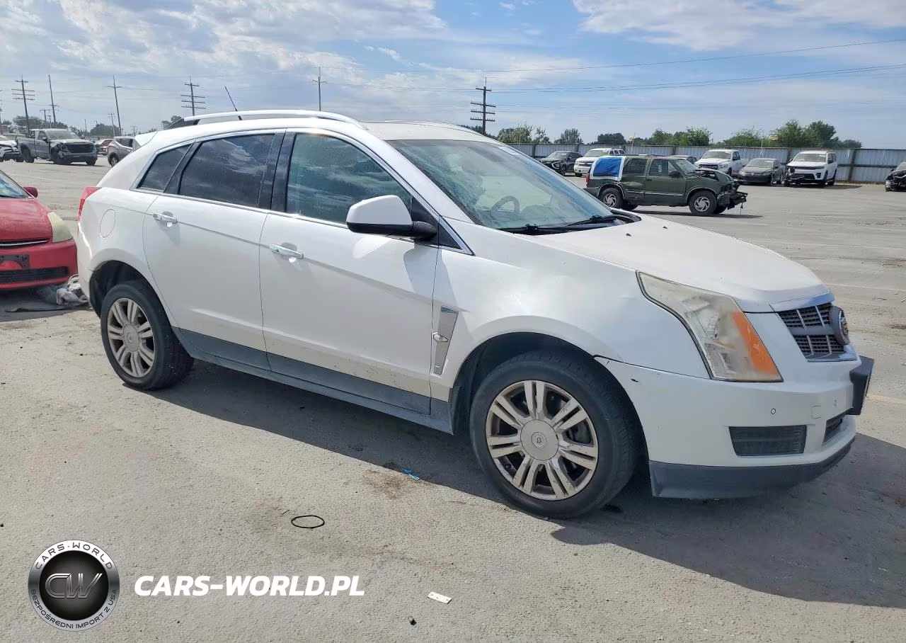 2010 Cadillac Srx Luxury Collection VIN:3GYFNDEY3AS633940 - 4