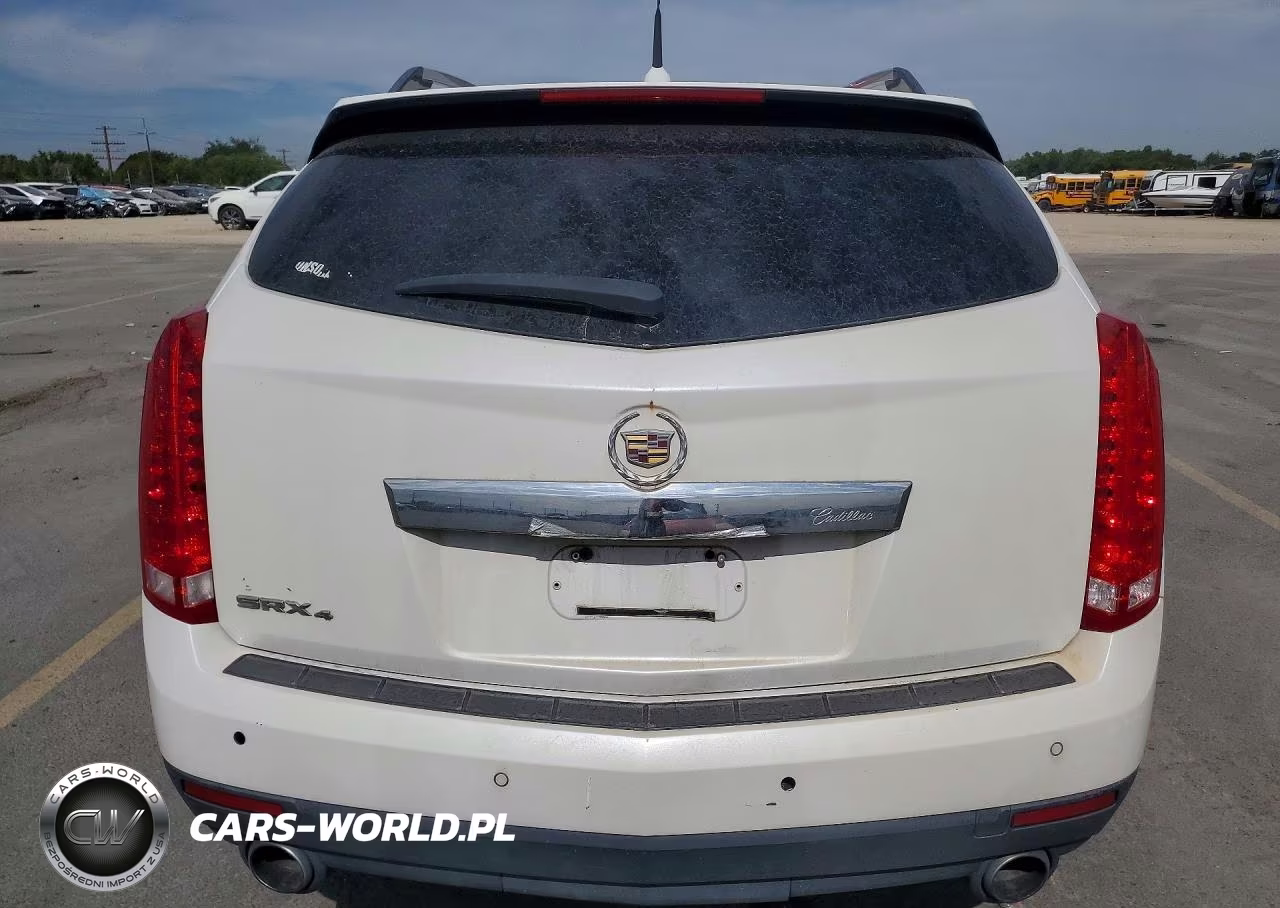 2010 Cadillac Srx Luxury Collection VIN:3GYFNDEY3AS633940 - 6