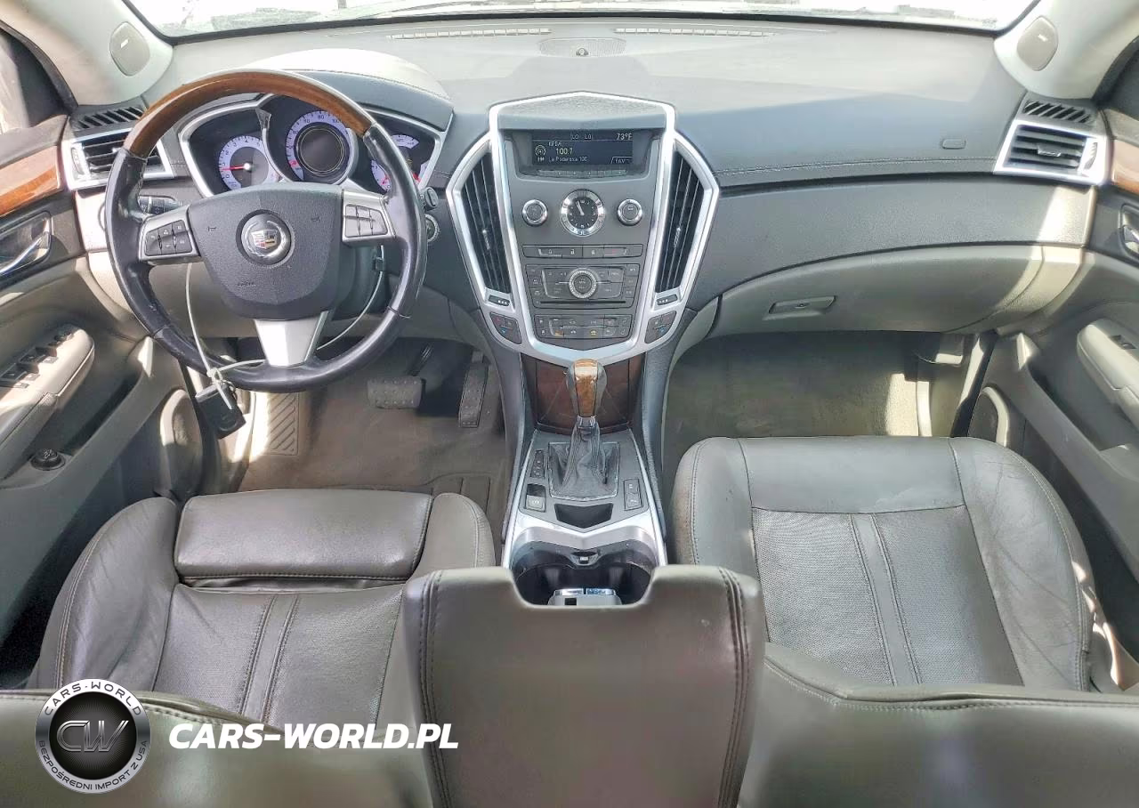2010 Cadillac Srx Luxury Collection VIN:3GYFNDEY3AS633940 - 8