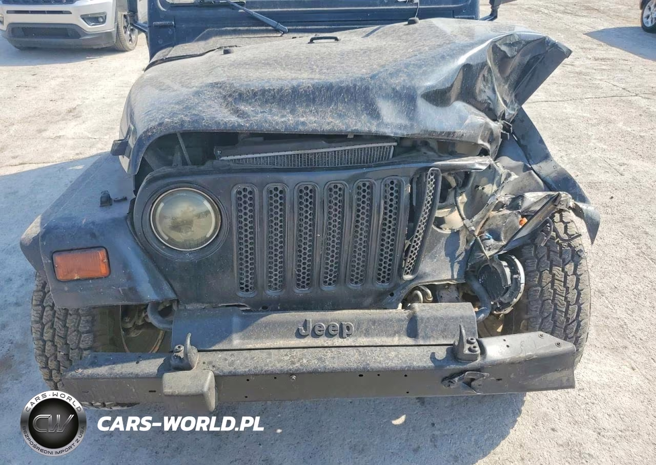 2002 Jeep Wrangler - Tj X VIN:1J4FA39S22P770394 - 11