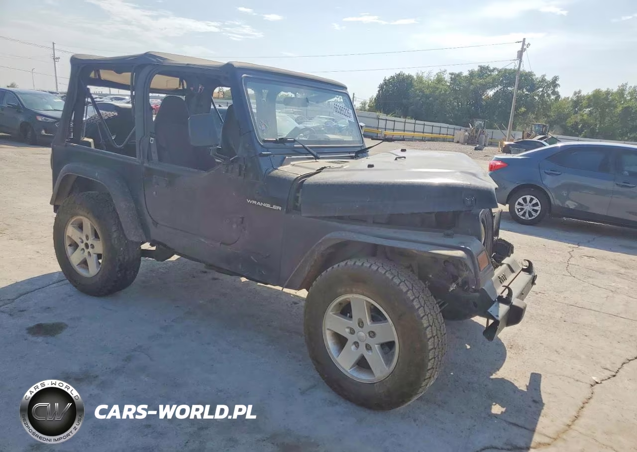 2002 Jeep Wrangler - Tj X VIN:1J4FA39S22P770394 - 4