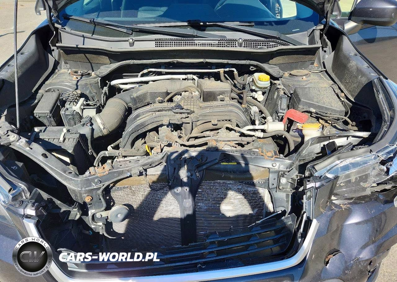 2019 Subaru Forester Premium VIN:JF2SKAEC8KH410806 - 11
