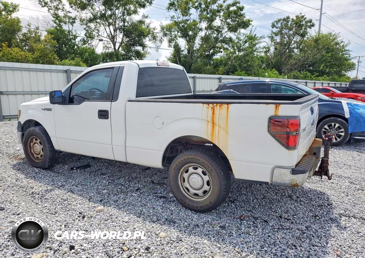 2013 Ford F150 VIN:1FTMF1CM8DFA99643 - 2