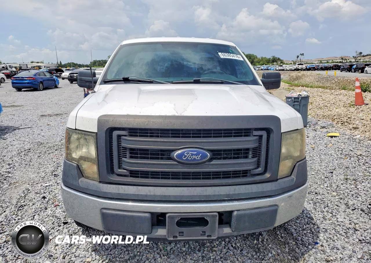 2013 Ford F150 VIN:1FTMF1CM8DFA99643 - 5