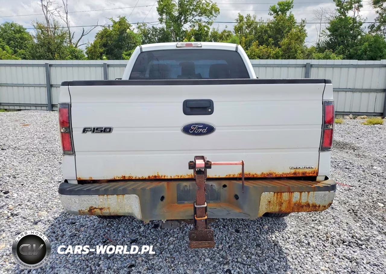 2013 Ford F150 VIN:1FTMF1CM8DFA99643 - 6