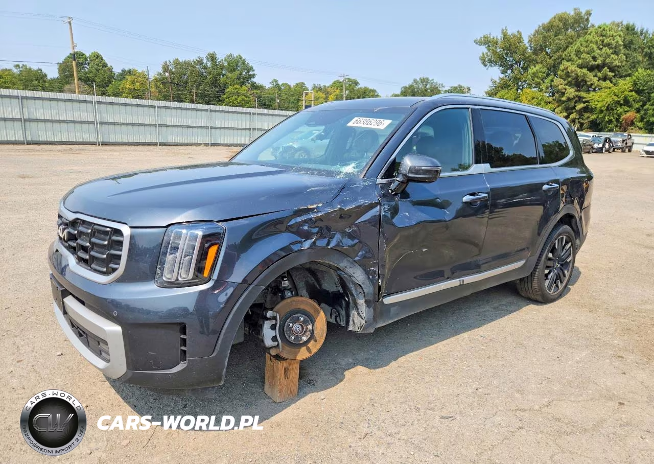 2024 Kia Telluride Sx VIN:5XYP54GC4RG411724 - 1