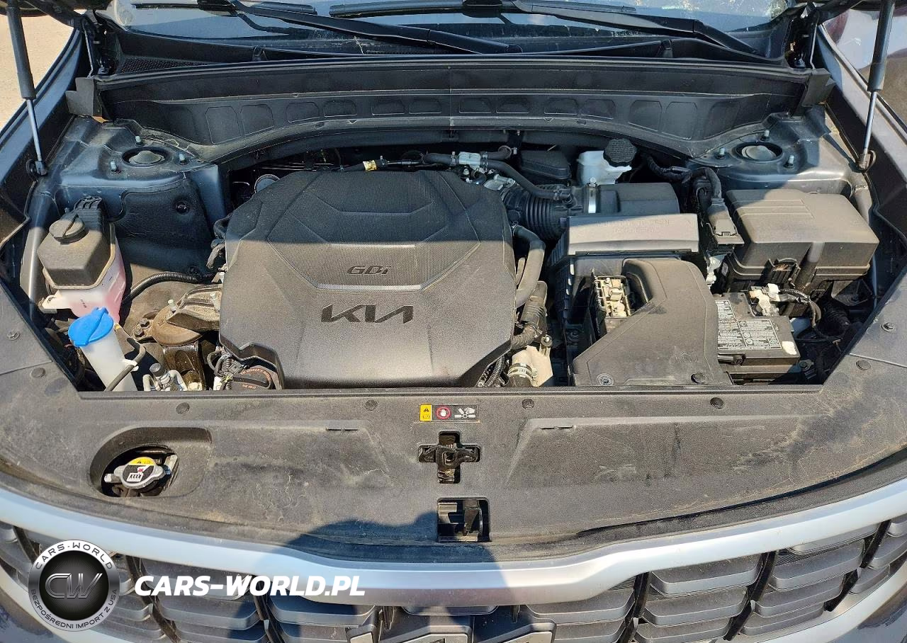 2024 Kia Telluride Sx VIN:5XYP54GC4RG411724 - 12