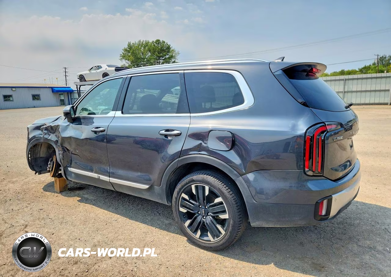 2024 Kia Telluride Sx VIN:5XYP54GC4RG411724 - 2