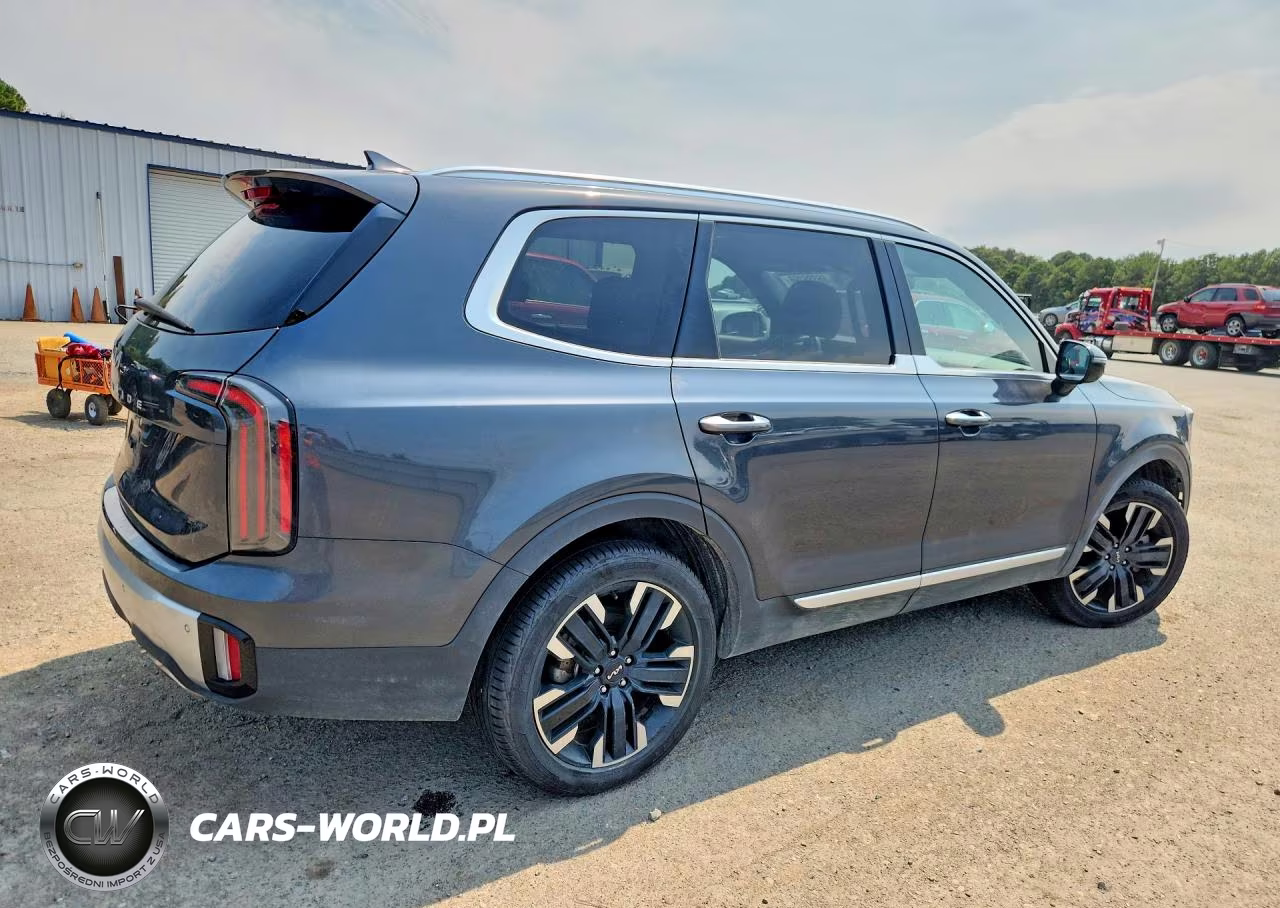2024 Kia Telluride Sx VIN:5XYP54GC4RG411724 - 3