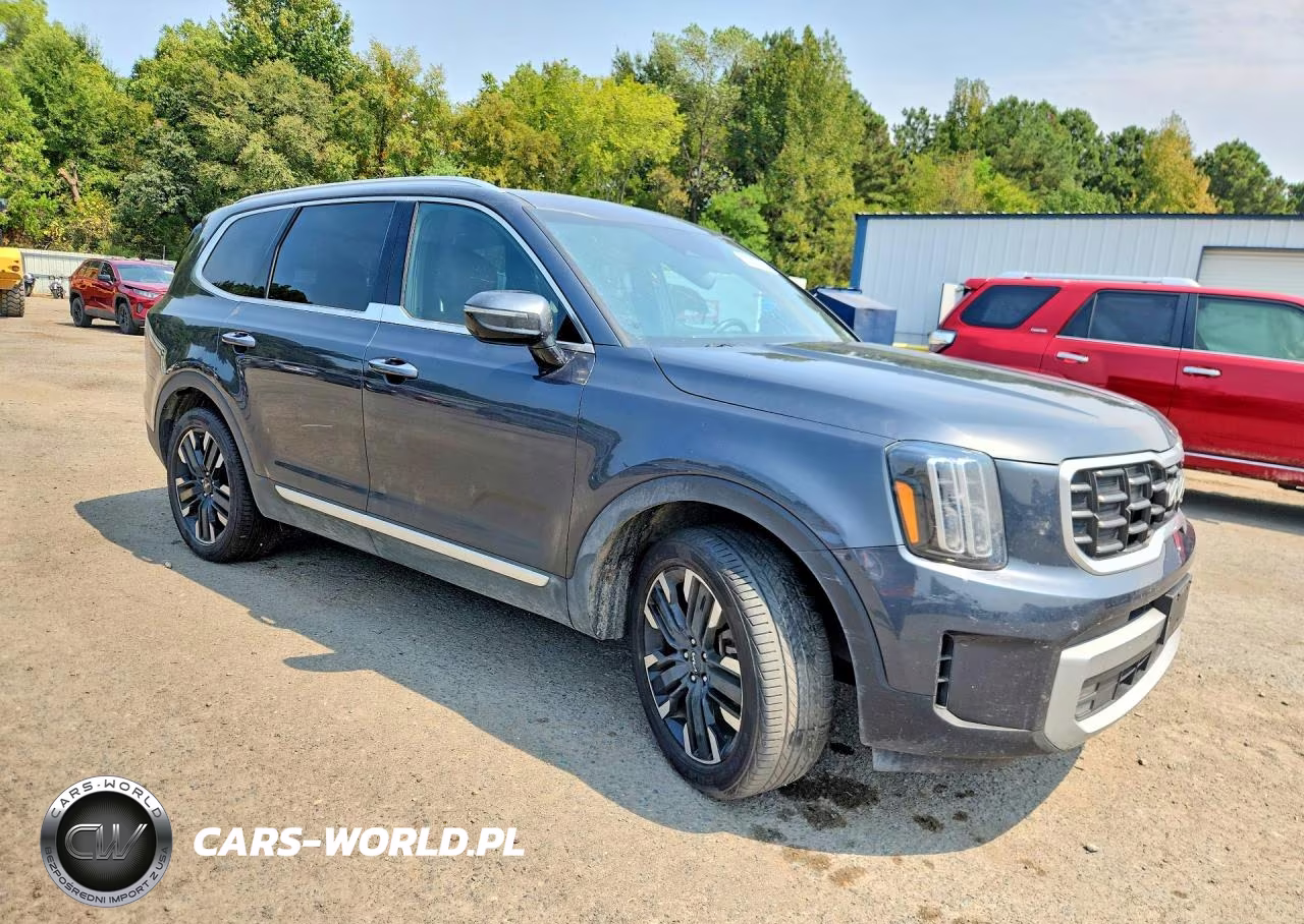 2024 Kia Telluride Sx VIN:5XYP54GC4RG411724 - 4