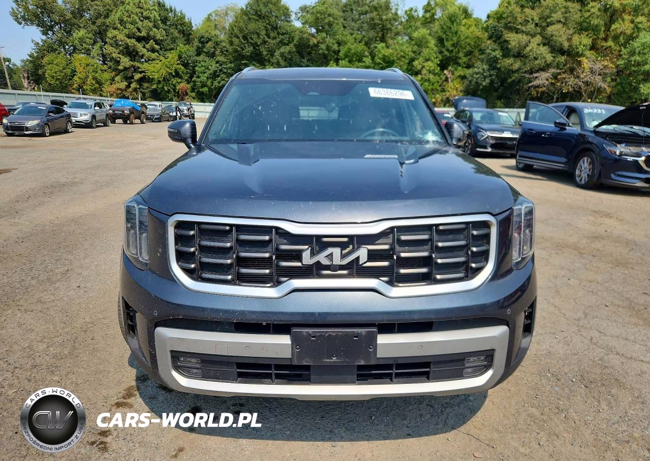 2024 Kia Telluride Sx VIN:5XYP54GC4RG411724 - 5