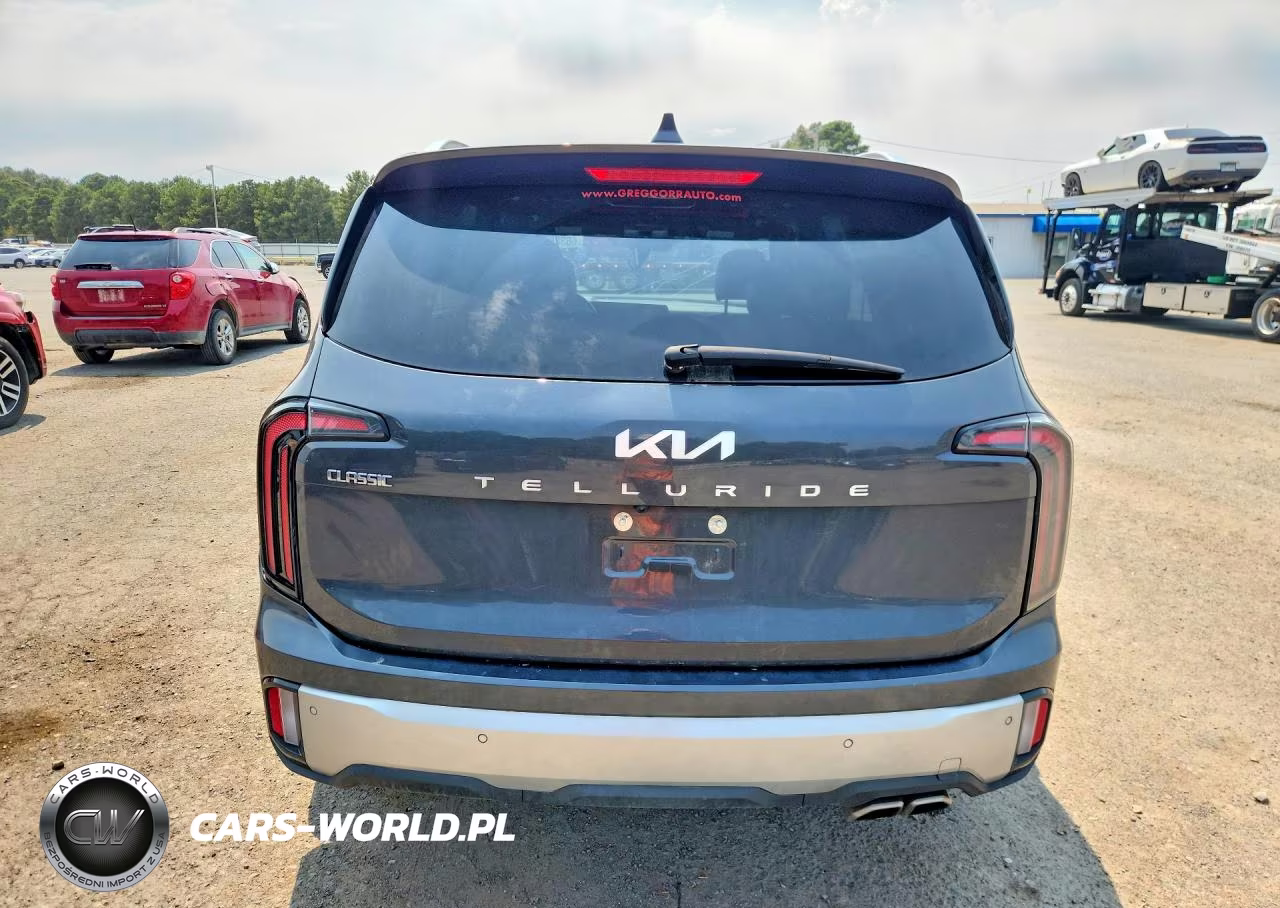 2024 Kia Telluride Sx VIN:5XYP54GC4RG411724 - 6