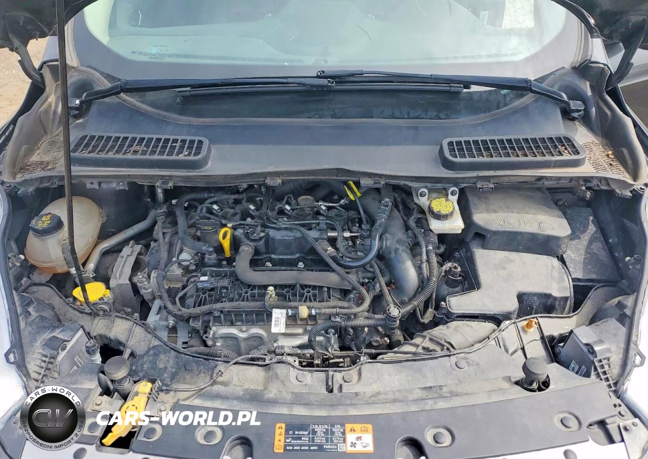 2019 Ford Escape Sel VIN:1FMCU9HD8KUB27177 - 12