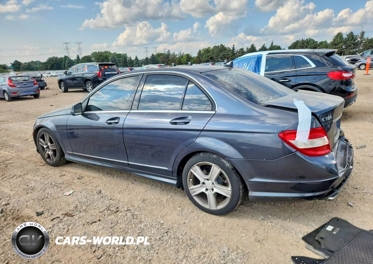2010 Mercedes-Benz C 300 4Matic VIN:WDDGF8BB6AR119734 - 2