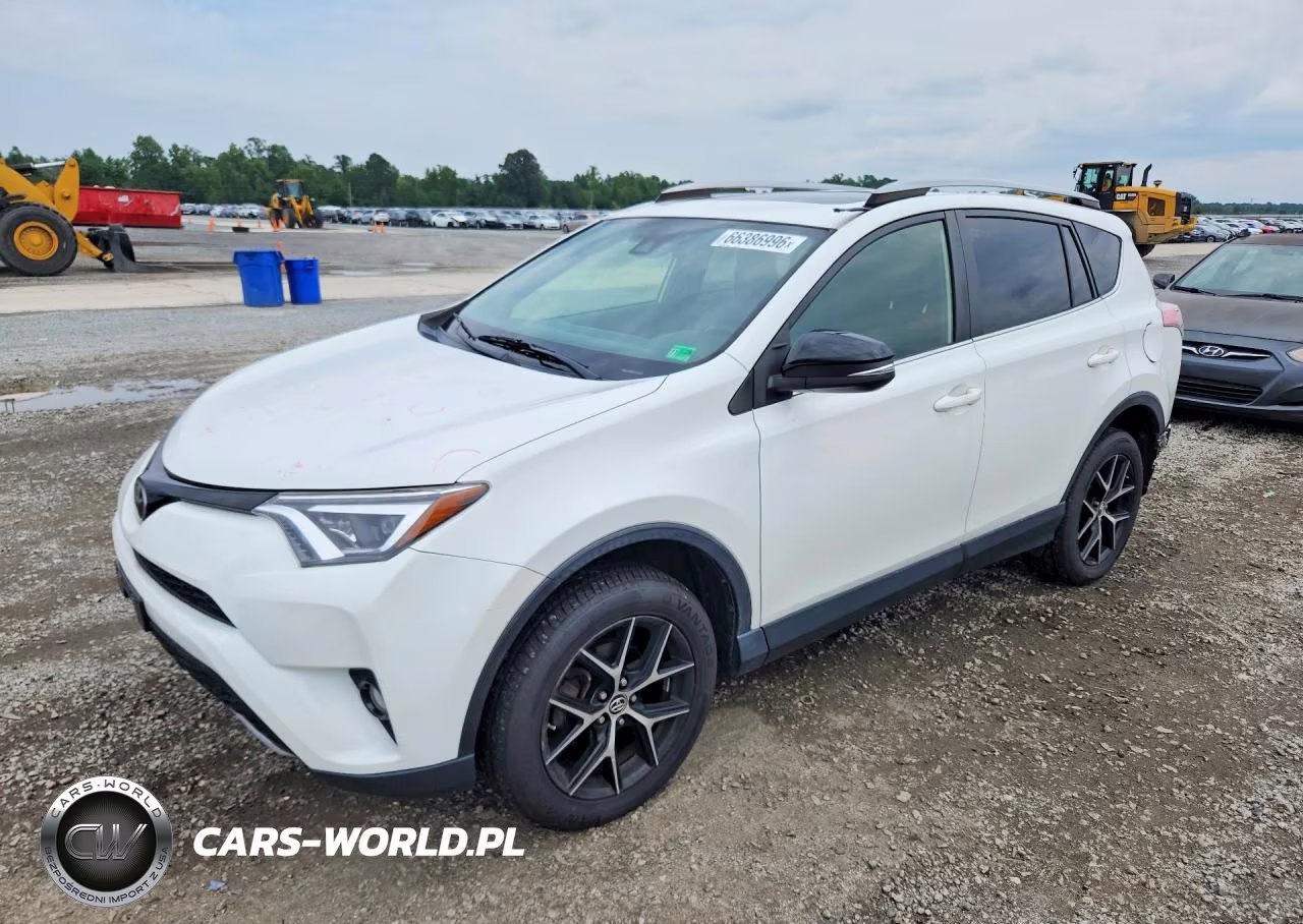 2017 Toyota Rav4 Se