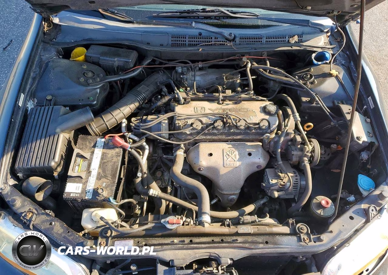 1999 Honda Accord Lx VIN:JHMCG564XXC014141 - 11