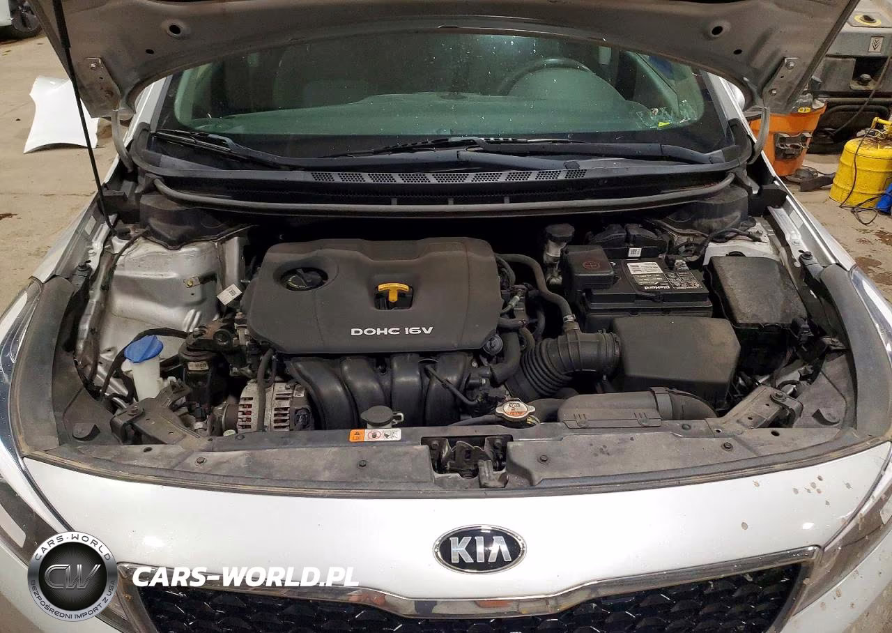 2017 Kia Forte Lx VIN:3KPFK4A70HE107060 - 11