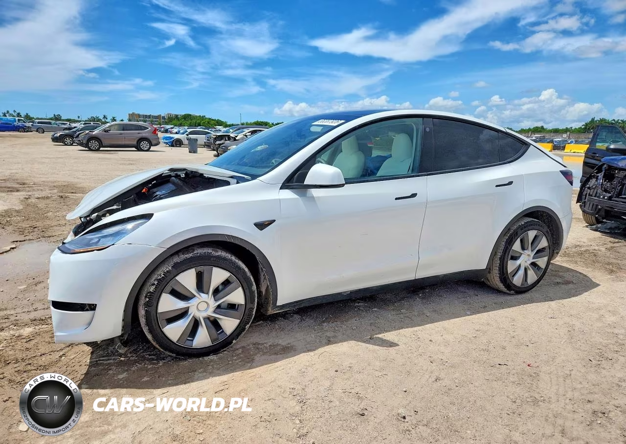 2023 Tesla Model Y VIN:7SAYGDEE9PA097981 - 1