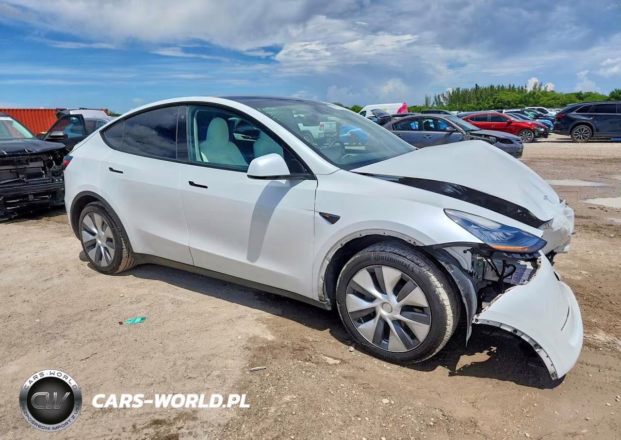 2023 Tesla Model Y VIN:7SAYGDEE9PA097981 - 4