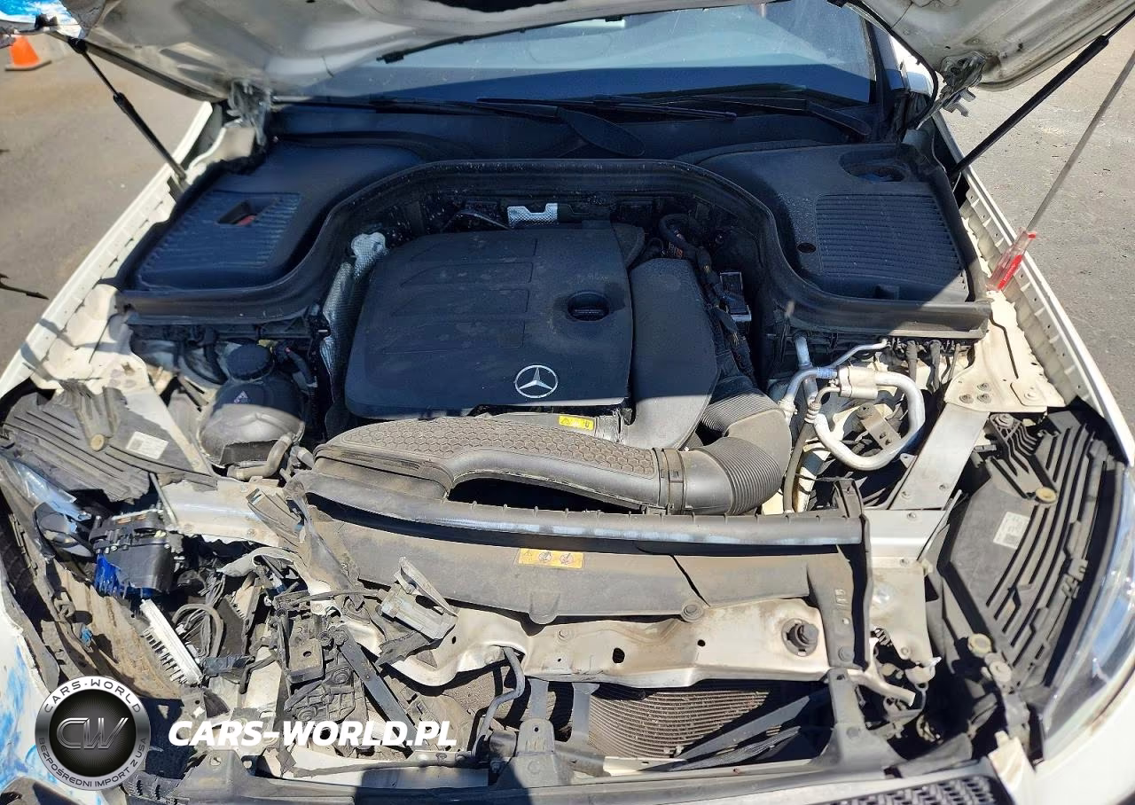 2021 Mercedes-Benz Glc 300 VIN:W1N0G8DB4MV310160 - 12