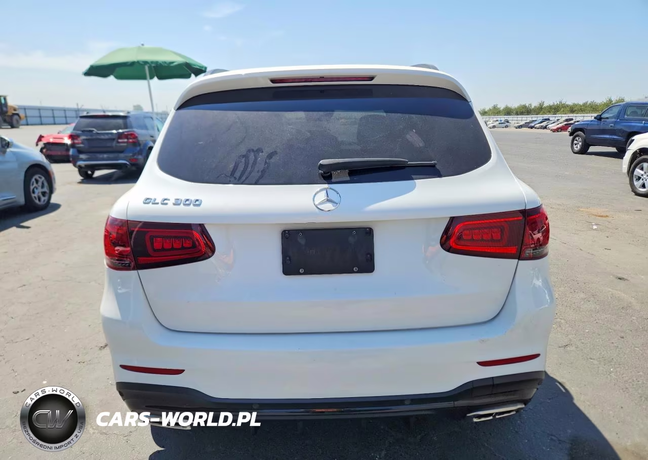 2021 Mercedes-Benz Glc 300 VIN:W1N0G8DB4MV310160 - 6