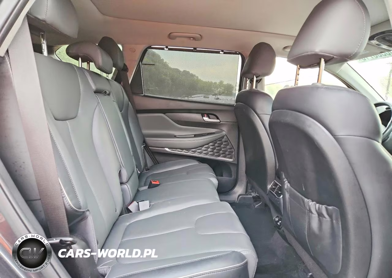 2021 Hyundai Santa Fe Limited VIN:5NMS4DAL3MH343324 - 11