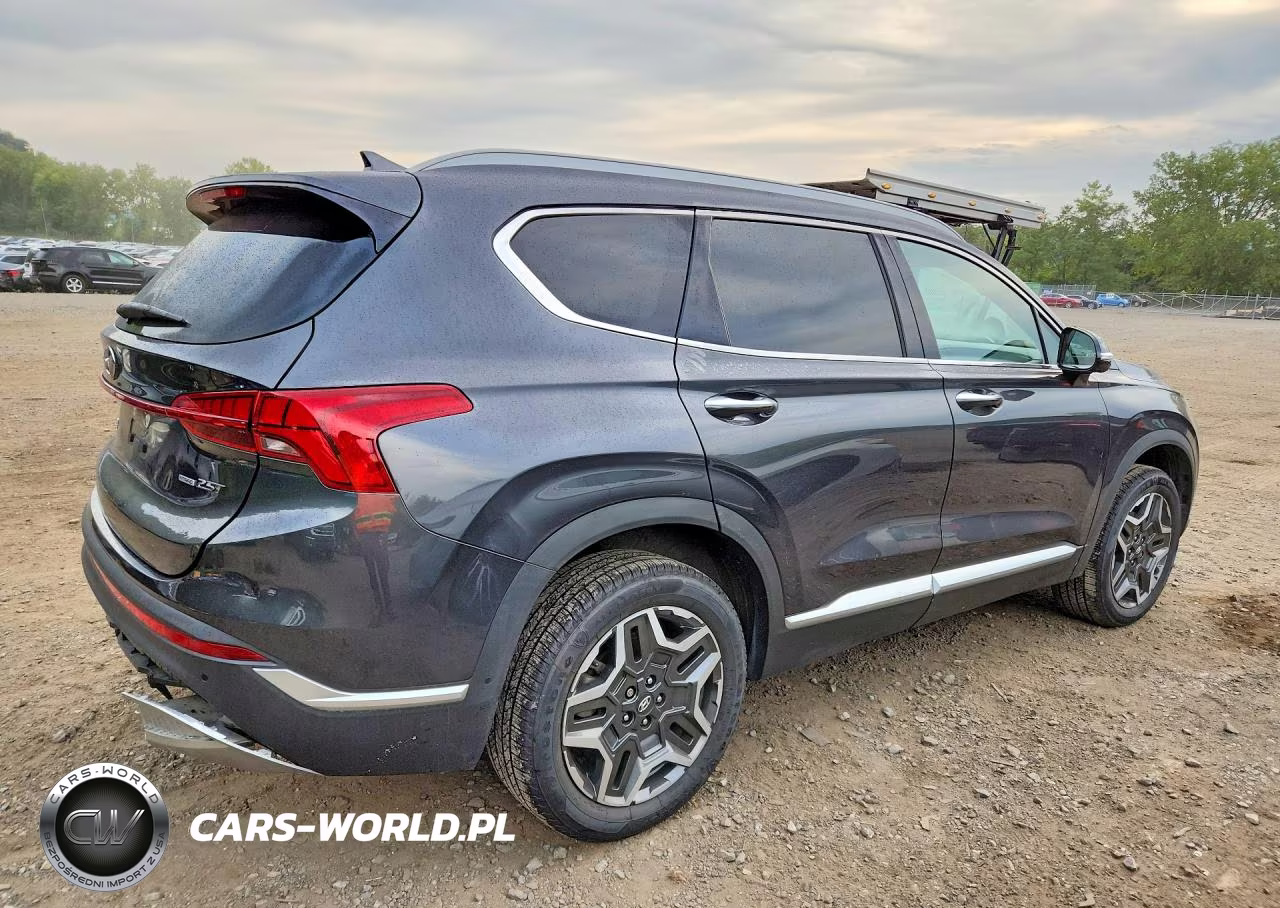 2021 Hyundai Santa Fe Limited VIN:5NMS4DAL3MH343324 - 3