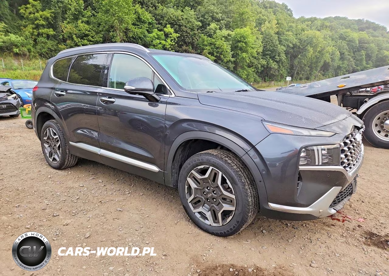 2021 Hyundai Santa Fe Limited VIN:5NMS4DAL3MH343324 - 4