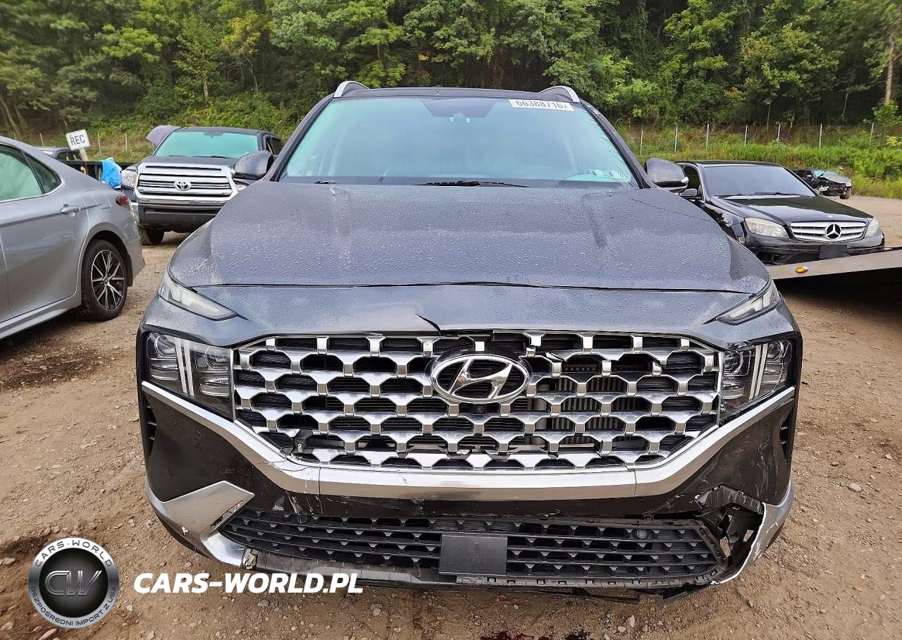 2021 Hyundai Santa Fe Limited VIN:5NMS4DAL3MH343324 - 5