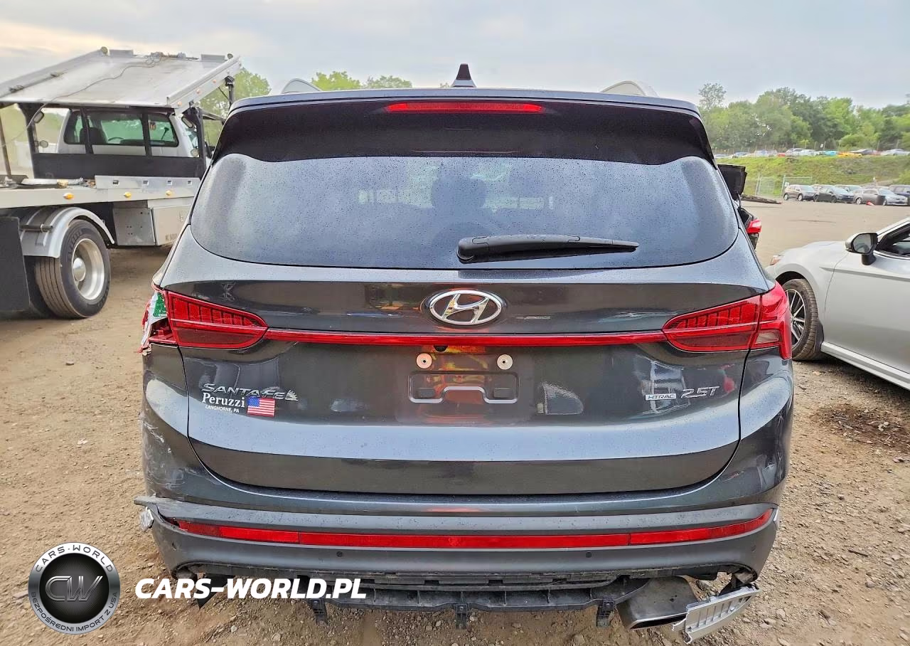 2021 Hyundai Santa Fe Limited VIN:5NMS4DAL3MH343324 - 6