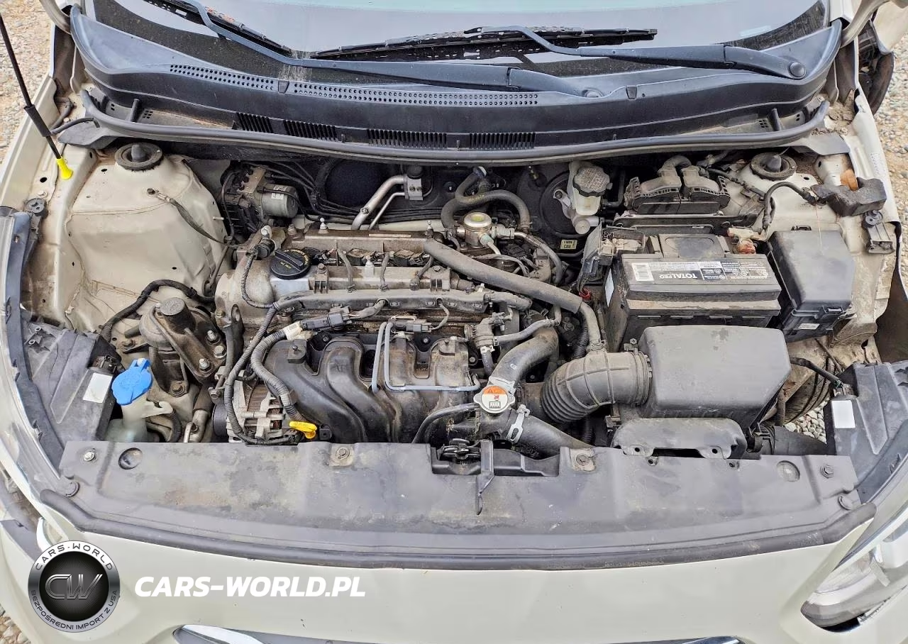 2017 Hyundai Accent Se VIN:KMHCT4AE3HU219203 - 11
