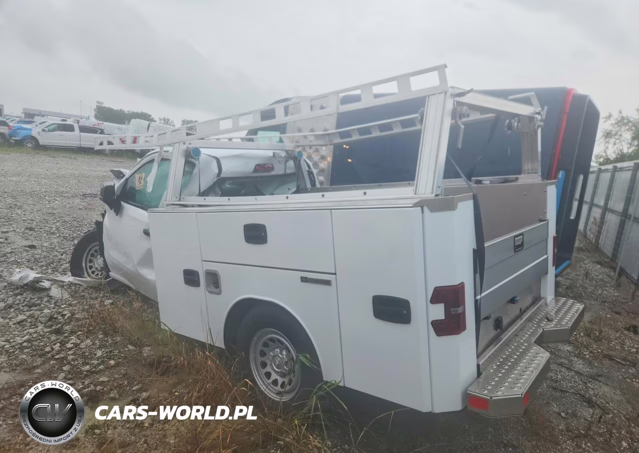 2025 Chevrolet Silverado K1500 VIN:3GCNKAED1SG153115 - 2